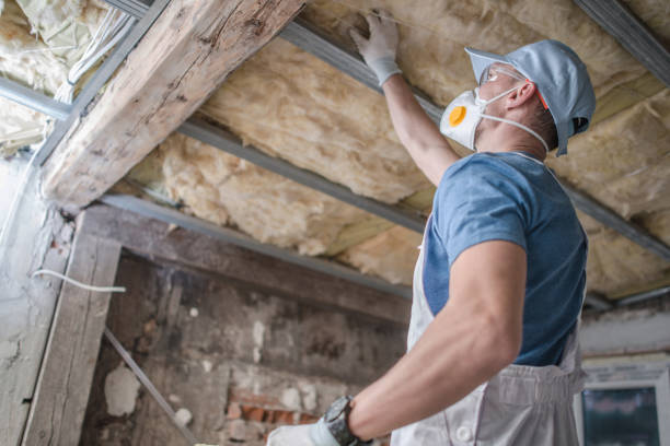 Best Types of Insulation in Seabrook, SC