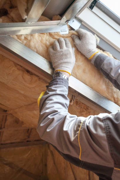 Best Insulation Installation Services in Seabrook, SC