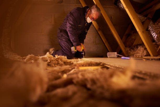 Best Insulation Maintenance and Repair in Seabrook, SC